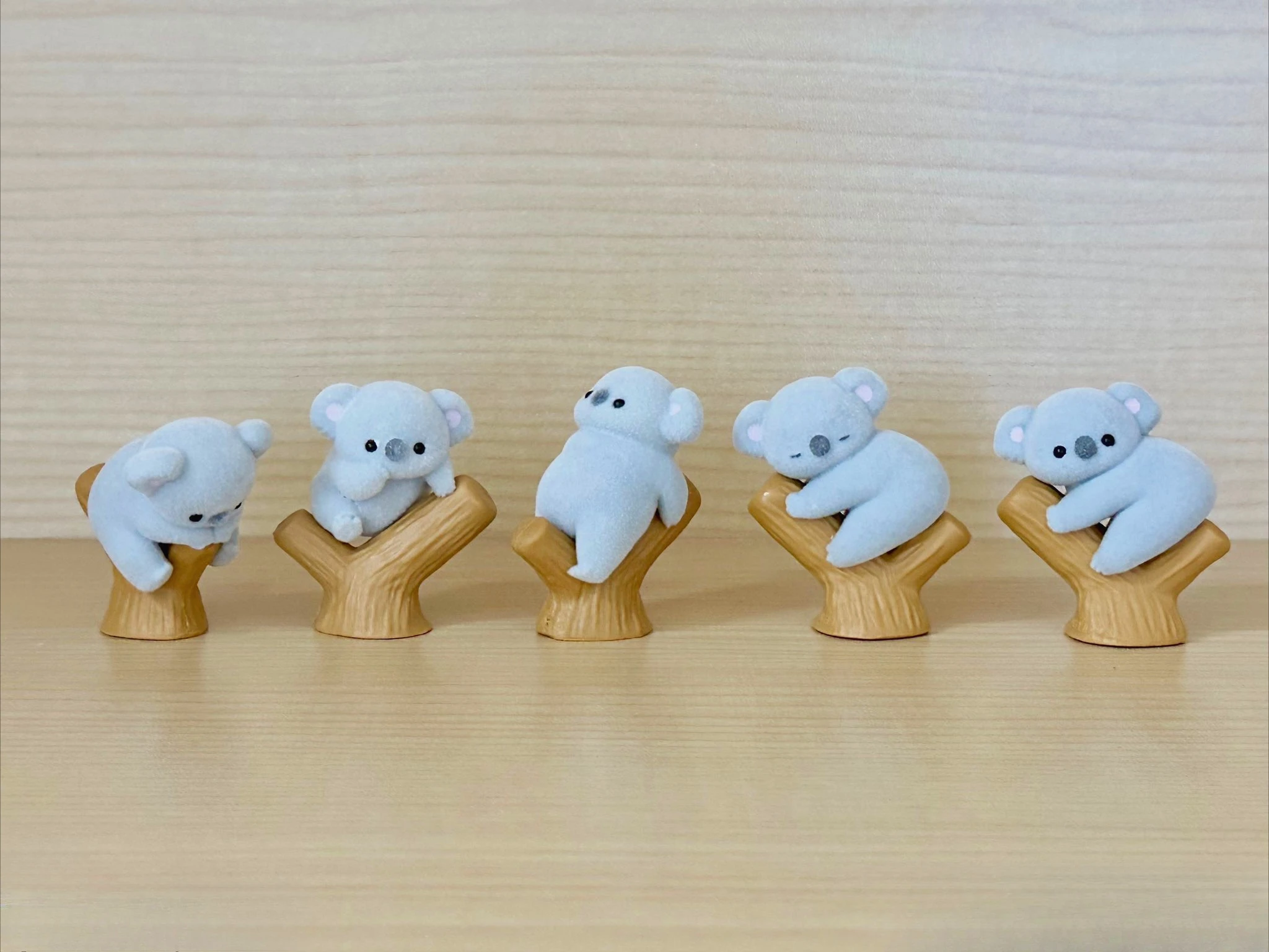 Giocattoli a capsula incantata - Baby Products Toys recensione e prezzo